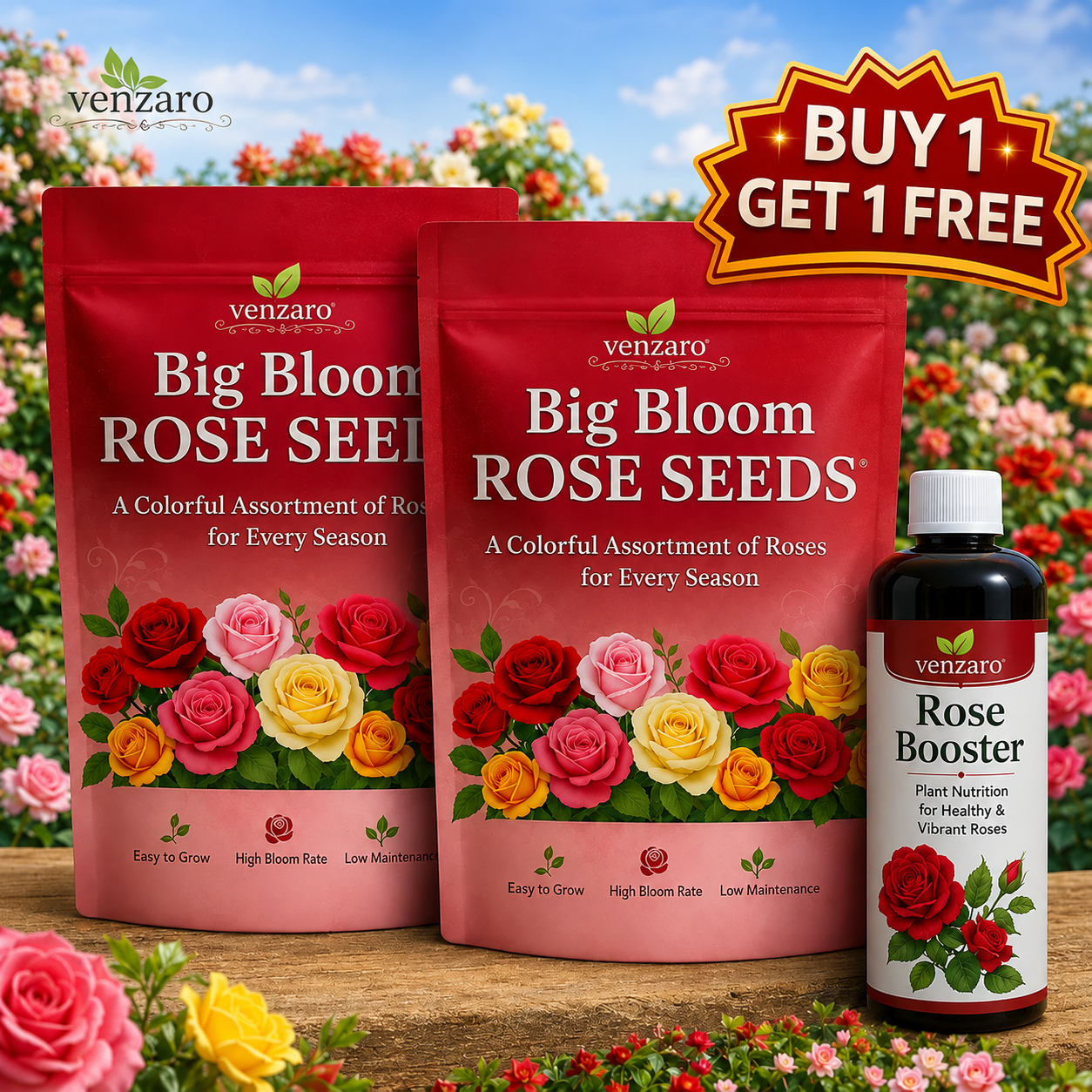 Big Bloom Rose Seeds (Pack of 2)