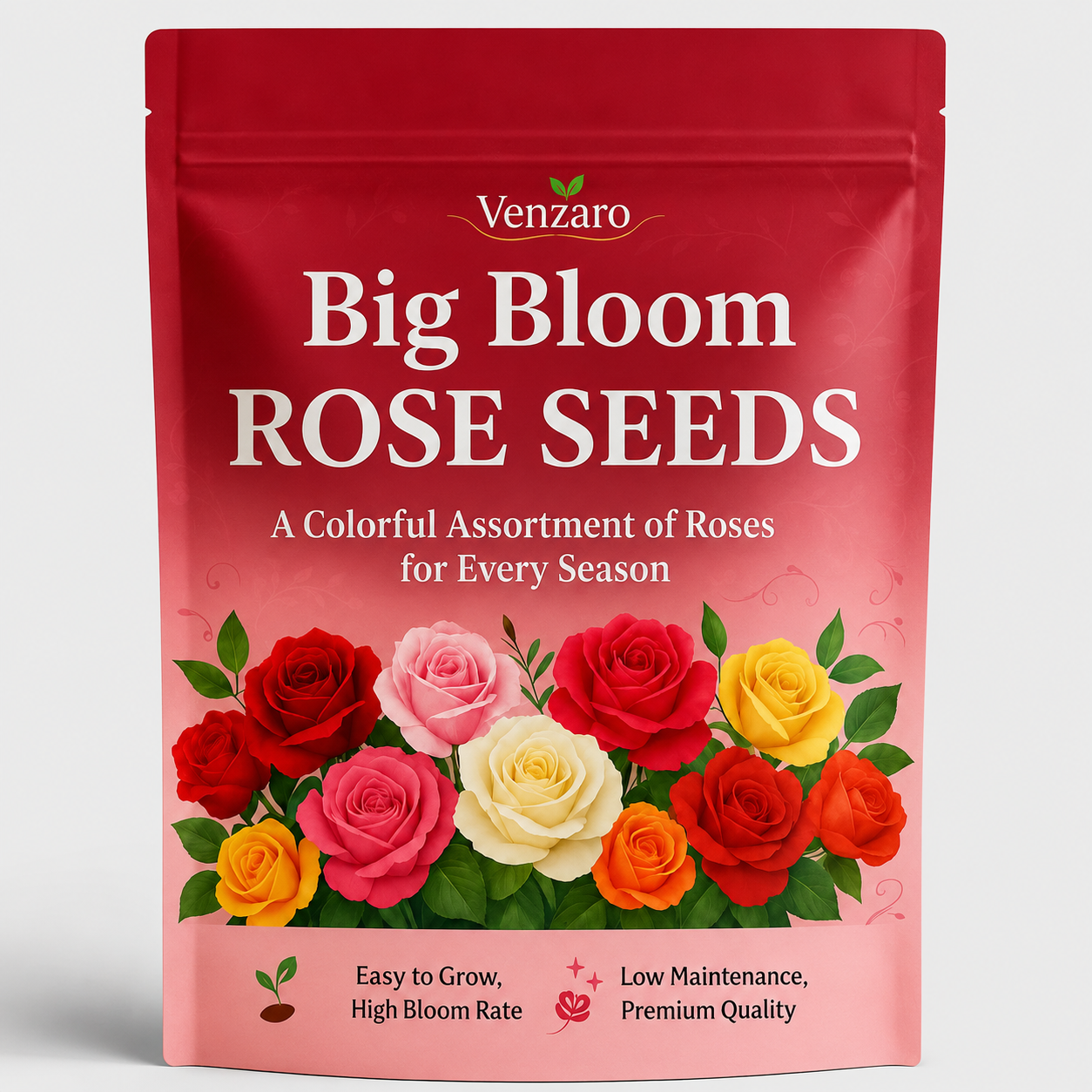 Big Bloom Rose Seeds (Pack of 2)